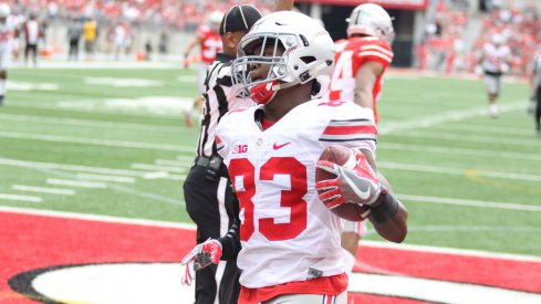 Terry McLaurin finds the end zone in Ohio State's spring game.