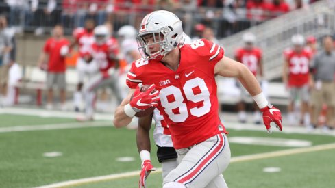 Luke Farrell hauls in a pass during Ohio State's spring game.