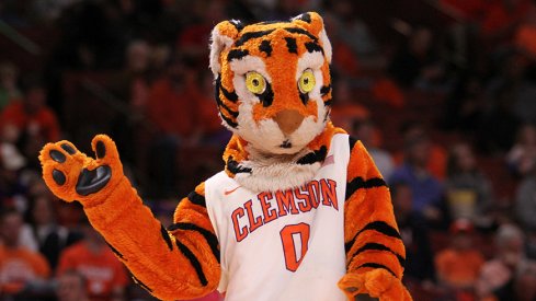 Clemson's wack-ass mascot.