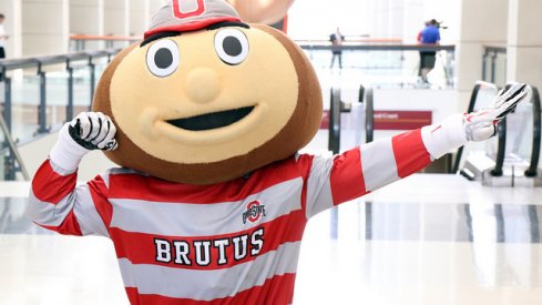 Brutus Buckeye.