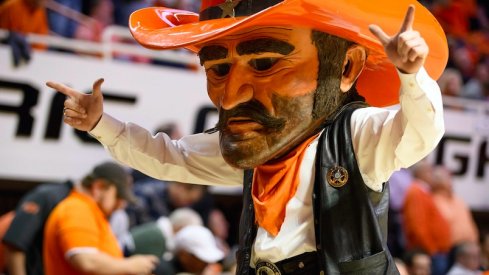 Pistol Pete gets ready to take aim at Brutus buckeye