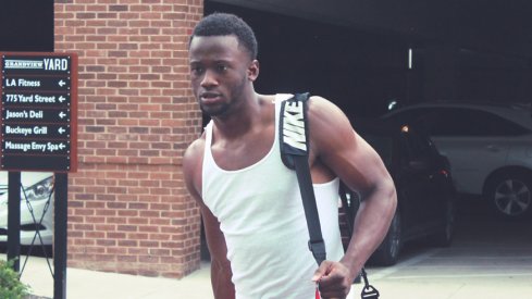 Torrance Gibson