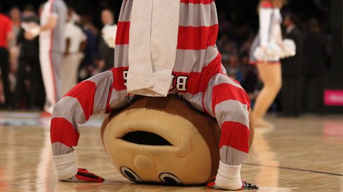Brutus can't wait to bet on the Buckeyes.
