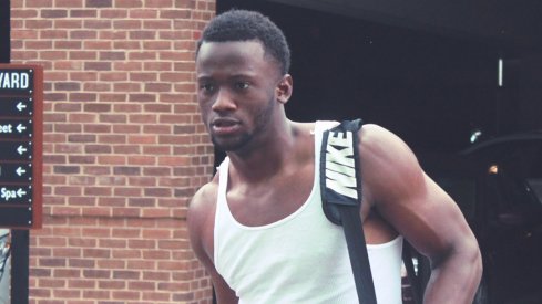 Torrance Gibson