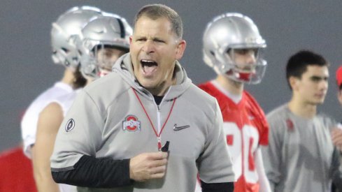 Greg Schiano