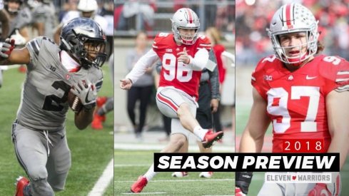 J.K. Dobbins, Sean Nuernberger and Nick Bosa are a few Buckeyes with designs on rewriting the school's record book.