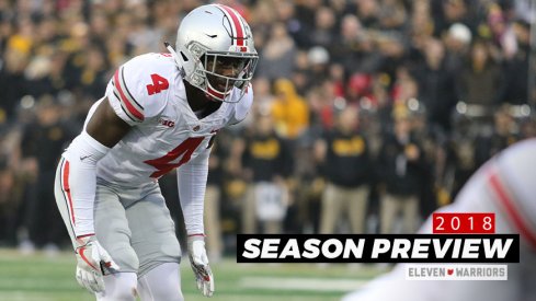 Ohio State's Jordan Fuller will lead a talented group of defensive backs this fall.