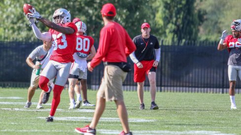 Terry McLaurin catching a pass during fall camp.