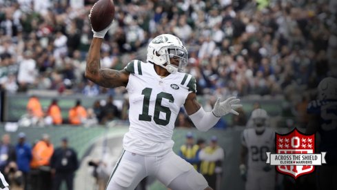 Terrelle Pryor celebrates after scoring a touchdown