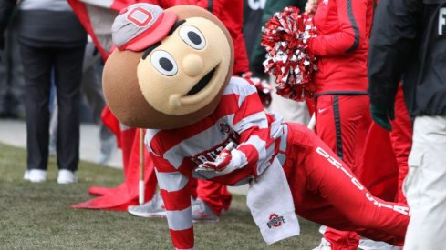 Brutus Buckeye