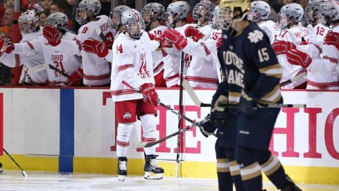 Austin Pooley celebrates his second goal in Ohio State's series against Notre Dame.