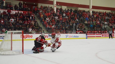 Andrea Braendli, Buckeye goalie and brick wall