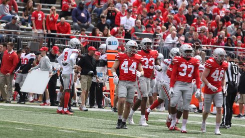 Scarlet and Gray match up against each other in 2019 Spring Game. 