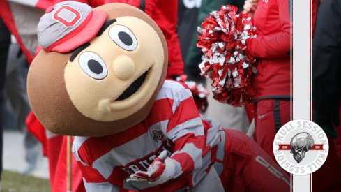 Brutus is doing push ups in today's Skull Session.