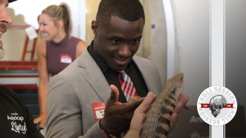 Demario McCall is fascinated by a reptilian creature in today's skull session.