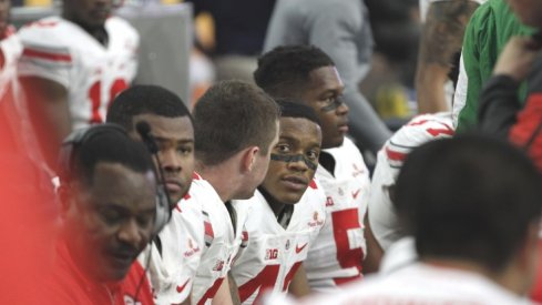 Buckeyes sitting on the bench.