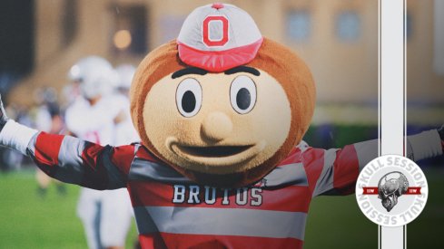 Brutus is giving a big hug in today's skull session.