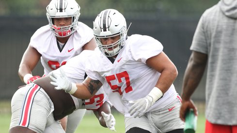 Redshirt freshman defensive tackle Zaid Hamdan became the latest Buckeye to shed his black stripe.