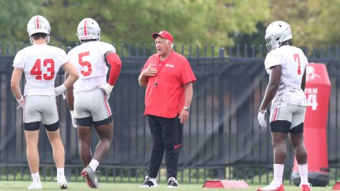 Buckeye fans will finally get to see the fruits of Greg Mattison's labor.