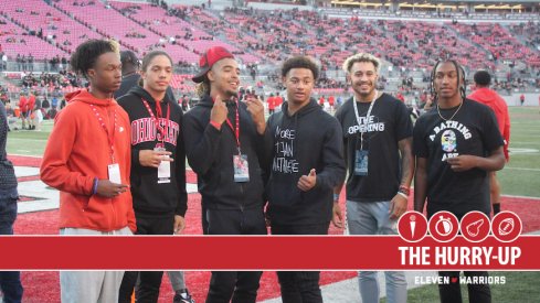 Ohio State 2020, 2021 Receivers