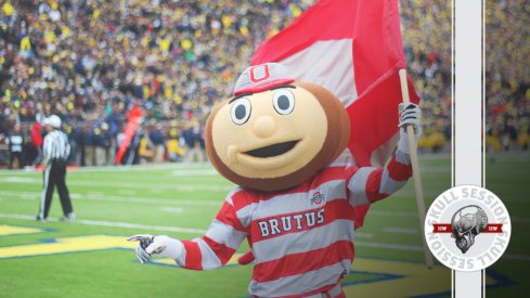 Brutus is ready for The Game in today's Skull Session.