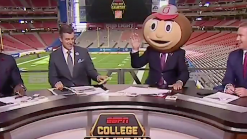 Corso Picks Brutus