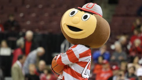 Brutus Buckeye