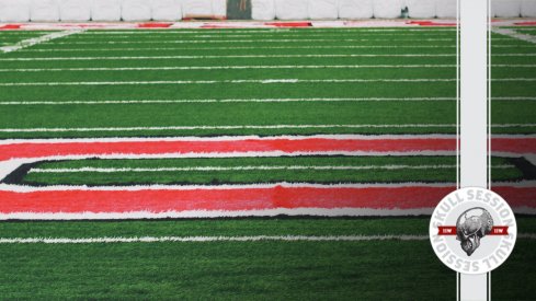 We're looking at the turf in today's skull session.