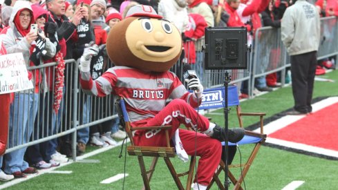 Brutus Buckeye Being a Boss