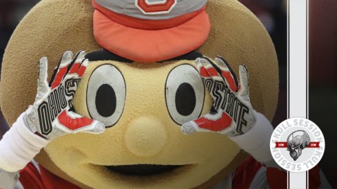 Brutus is staring into your soul in today's skull session.