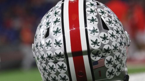 Ohio State helmet