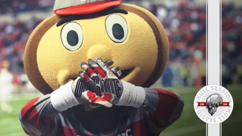 Brutus is showing his gloves in today's skull session.