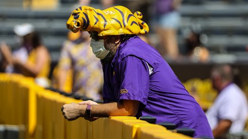LSU fans didn't have much to be excited about yesterday.