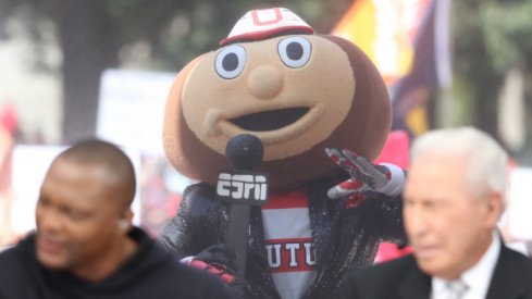 Brutus Buckeye