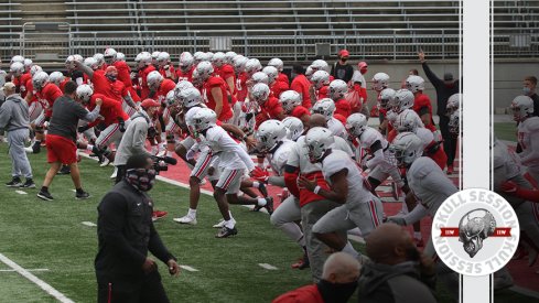 The buckeyes are doing stuff in today's skull session.