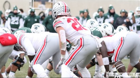 Pete Werner vs. Michigan State in 2018