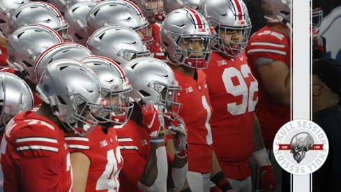 The Buckeyes are hanging out in today's skull session.