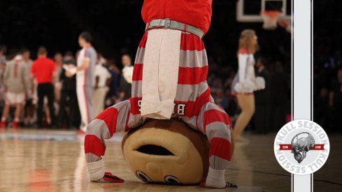 Brutus is doing a headstand in today's skull session.