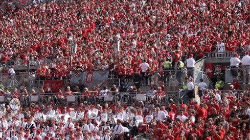 Fans in the stands.