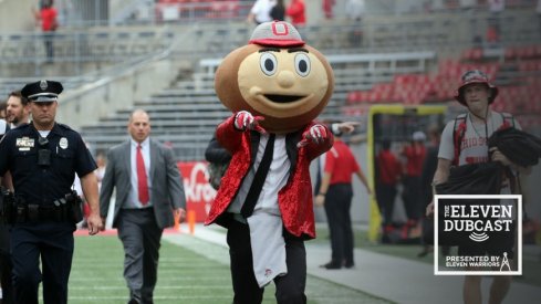 Brutus Buckeye: Stylin' and Profilin'