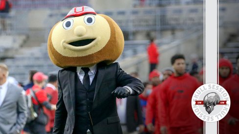 Brutus is looking dapper in today's skull session.