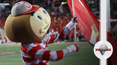 Brutus is waving a flag in today's skull session.