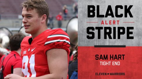 Freshman tight end sam hart sheds black stripe.