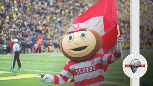 Brutus is waving a flag in today's skull session.