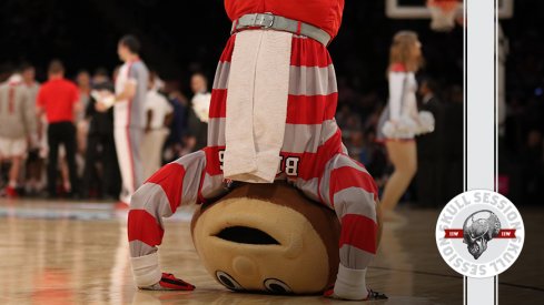 Brutus is upside down in today's skull session.