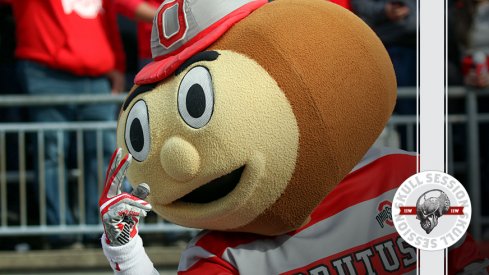 Brutus is watching in today's skull session.