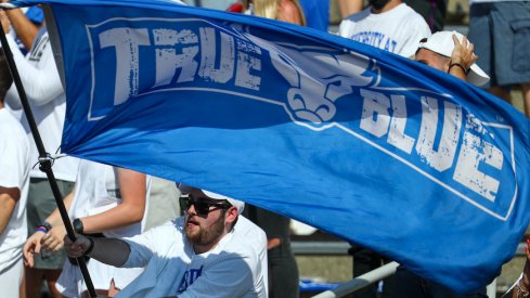 Buffalo Bulls flag