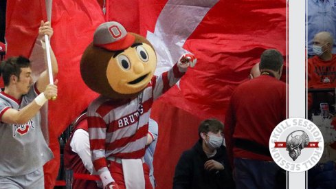 Brutus is leading them out of the tunnel in today's skull session.