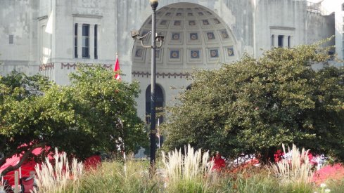 Ohio Stadium in bloom