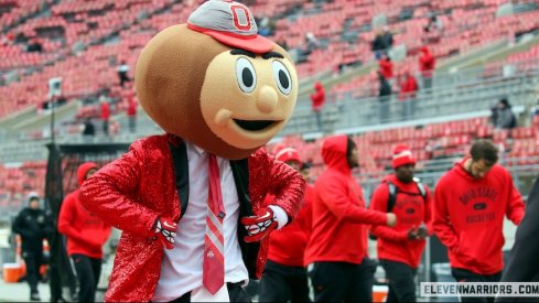 Brutus Buckeye